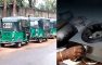 জেলাজুড়ে হঠাৎ গ্যাসের শূন্য সরবরাহ, ভোগান্তিতে ৩০ হাজার গ্রাহক