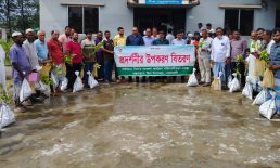 সুবর্ণচরে বিনার কৃষক প্রশিক্ষণ, ১শ কৃষকের মাঝে বীজ ও চারা বিতরণ