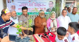 পরীক্ষা ছাড়াই জিপিএ-৫ পাওয়ার মতো দৃশ্য আর দেখতে চাই না: বরকত উল্লাহ বুলু
