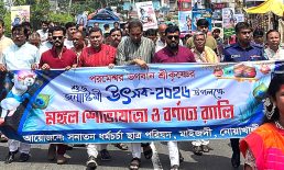 মাইজদীতে জন্মাষ্টমী উপলক্ষে বর্ণাঢ্য শোভাযাত্রা