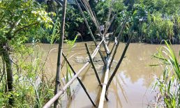 দাগনভূঞায় পারাপারে ঝুঁকিপূর্ণ বাঁশের সাঁকোই একমাত্র ভরসা! ভোগান্তি চরমে