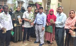 দাগনভূঞায় দিনব্যাপী ভ্রাম্যমাণ সমবায় প্রশিক্ষণ ও গাছের চারা বিতরণ