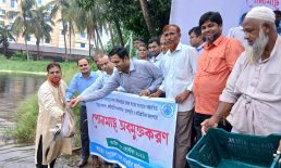 দাগনভূঞায় মাছের পোনা অবমুক্তকরণ