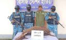 হাতিয়াতে জবাইকৃত হরিণ উদ্ধার