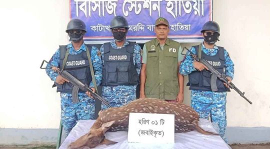হাতিয়াতে জবাইকৃত হরিণ উদ্ধার