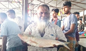 একটি রুপালি ইলিশ ১০ হাজার টাকায় বিক্রি