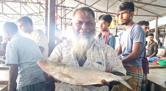 একটি রুপালি ইলিশ ১০ হাজার টাকায় বিক্রি