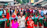 বিএনপিকে ক্ষমতা থেকে সরানোর হুমকি-ধমকিতে লাভ হবে না: জয়নুল আবদিন ফারুক