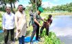 দাগনভূঞায় আনসার-ভিডিপি’র বৃক্ষরোপণ অভিযান