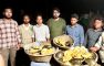 সুবর্ণচরে কাঁকড়ার পর এবার পাচারের আগেই ৭৬টি সুন্ধি কাছিম উদ্ধার