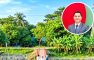 ইউএনওর উদ্যোগে কাঠের সেতু, বদলে গেল দুই গ্রামের জীবন যাত্রীমান